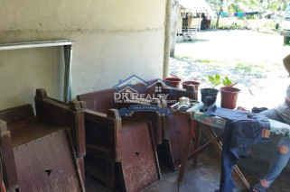 FULLY FURNISHED House and lot FOR SALE plus 1 hectare FARMLOT