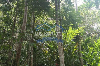 FARMLOT for SALE