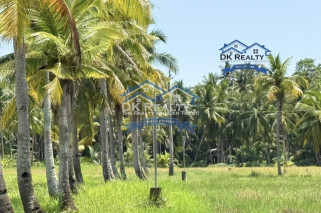 6-Hectare Farm for Sale in Butuan City