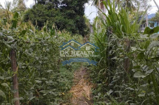 LOT FOR SALE