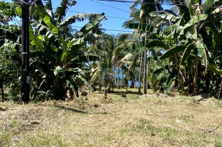 Amazing Beachlot For Sale in Magsaysay, Misamis Oriental