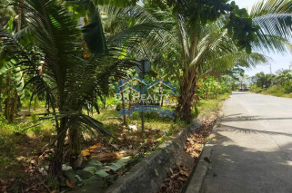 BEACH LOT WITH FARM