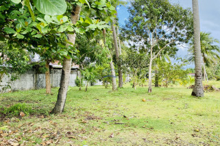 Beach House and Lot For Sale in Cabadbaran City