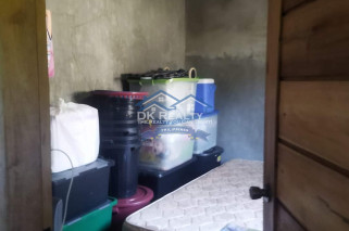 FULLY FURNISHED House and lot FOR SALE plus 1 hectare FARMLOT