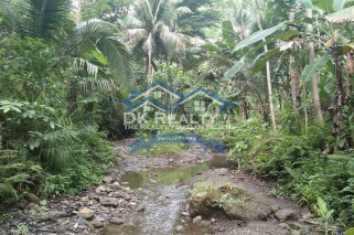 FARMLOT for SALE