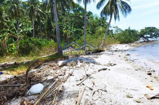 BEACH LOT WITH FARM