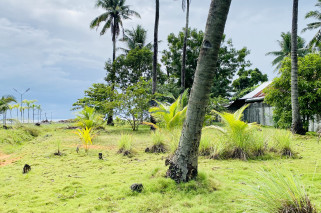 Beach House and Lot For Sale in Cabadbaran City