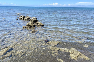 Amazing Beachlot For Sale in Magsaysay, Misamis Oriental