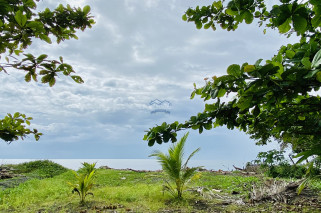 Beach House and Lot For Sale in Cabadbaran City