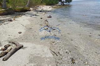 BEACH LOT WITH FARM