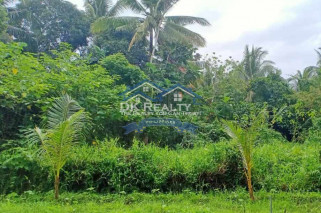 𝑳𝒐𝒕 𝒇𝒐𝒓 𝑺𝒂𝒍𝒆