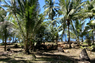 Amazing Beachlot For Sale in Magsaysay, Misamis Oriental