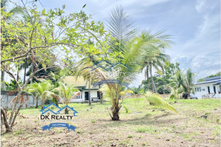 1,476 sqm Beach Lot for Sale with House in Cabadbaran City, Agusan del Norte, Philippines