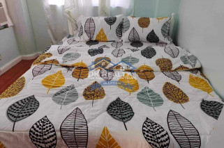 Big house FULLY FURNISHED FOR RENT